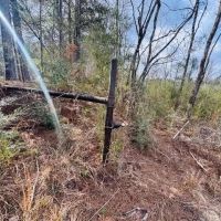 20 Acres South of Columbia MS images 4