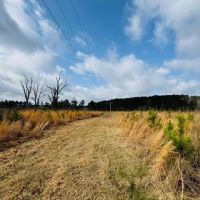 20 Acres South of Columbia MS images 5