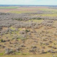 13.5 Acres in Milam County