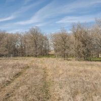 13.5 Acres in Milam County images 2