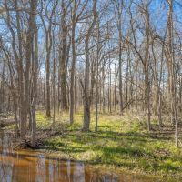 13.5 Acres in Milam County images 5