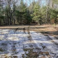Premier Hunting and Recreational Property in Monroe County images 3