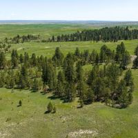 Pine Tracks Ranch images 3