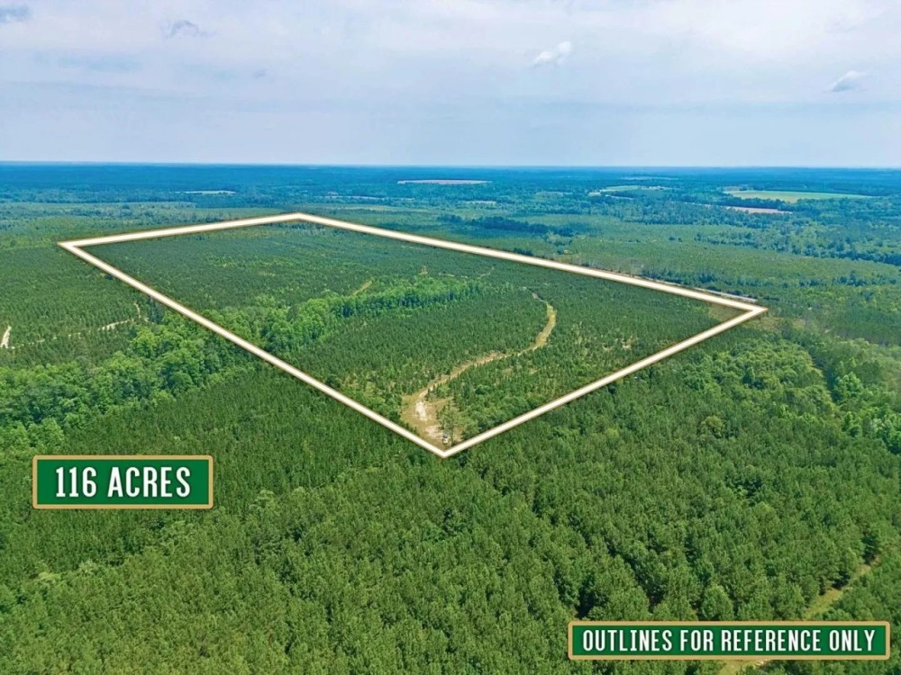 116 Acre Prime Hunting and Timberland tract featured image