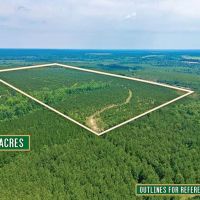 116 Acre Prime Hunting and Timberland tract