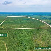 116 Acre Prime Hunting and Timberland tract images 2