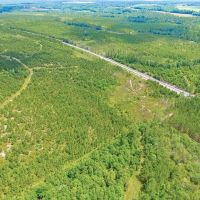 116 Acre Prime Hunting and Timberland tract images 5