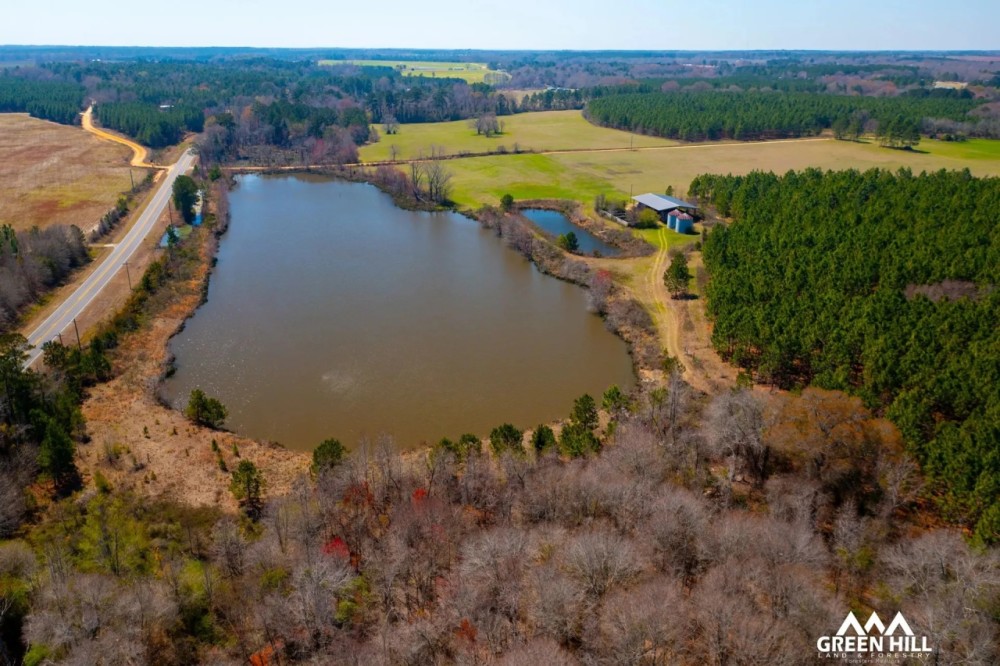 Patterson Pasture featured image