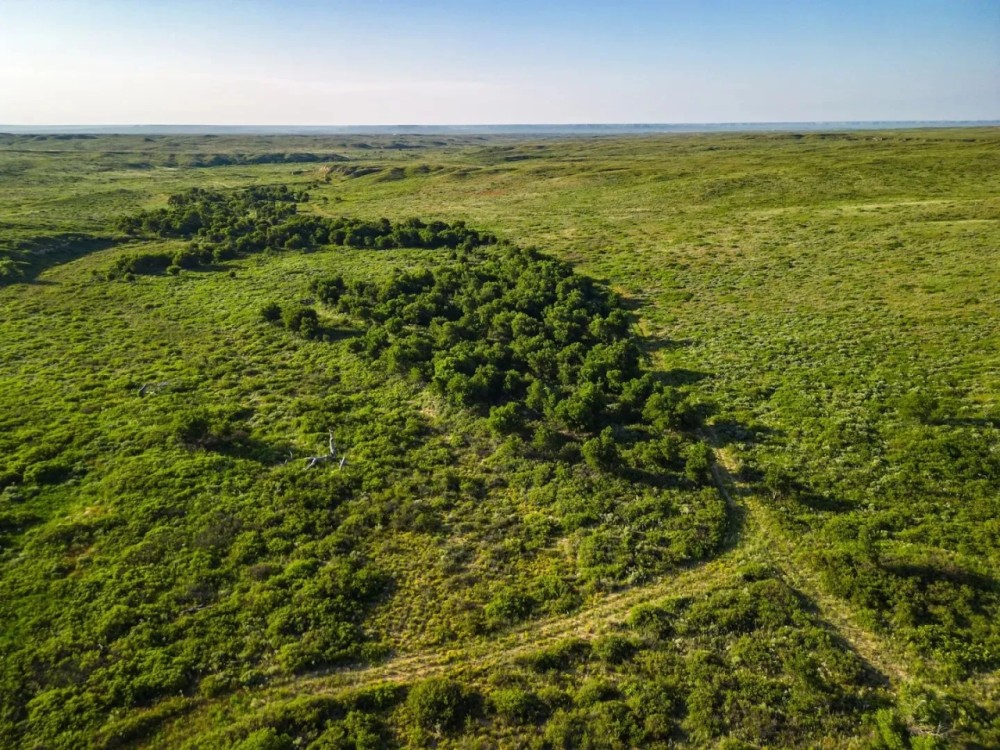 MV2 Ranch featured image