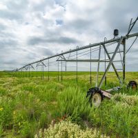 MV2 Ranch images 2