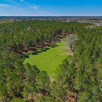 T F Plantation