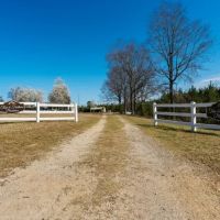 T F Plantation images 2
