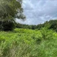 33.7 Acres in Scott County in Morton MS images 5
