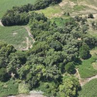 600 Acres Norton Kansas