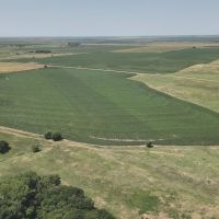 600 Acres Norton Kansas images 3