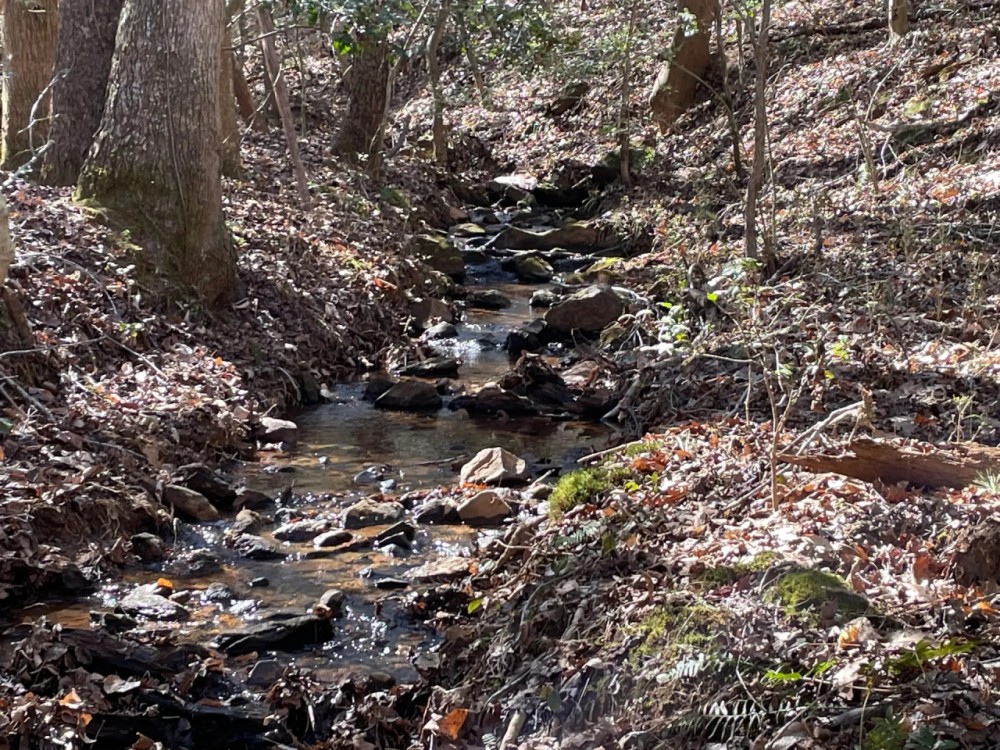 - 28.77 Acres on Old Hundred Road featured image