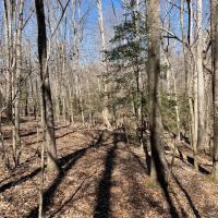 - 28.77 Acres on Old Hundred Road images 5