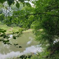 KIAMICHI RIVER FRONTAGE images 4