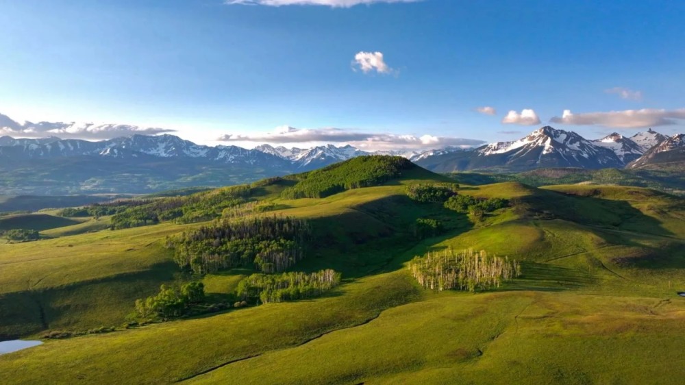 Homewood Ranch featured image
