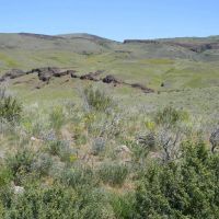 Cow Creek Ranch images 3