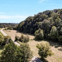 10.2 Unrestricted Acres for sale in Sneedville images 4