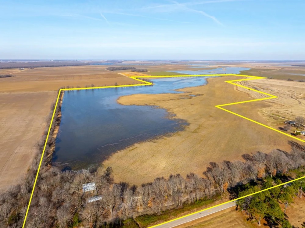 Excellent Row Crop and Duck Goose Hunting Land 200 - Acres Fisher Arkansas featured image