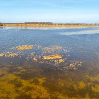 Excellent Row Crop and Duck Goose Hunting Land 200 - Acres Fisher Arkansas images 2