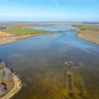 Excellent Row Crop and Duck Goose Hunting Land 200 - Acres Fisher Arkansas images 4
