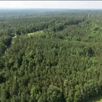26.3 Acres in Choctaw County in Ackerman MS images 2
