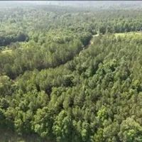 26.3 Acres in Choctaw County in Ackerman MS images 3