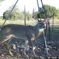 TBD County Road 382 Carlton Texas 76436 images 2