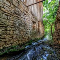 2937 Langes Mill Road - 335.11 Acres images 5