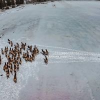 Red Mountain Ranch images 4