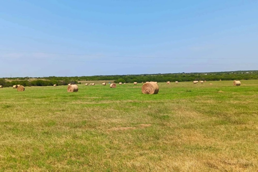 Karnes County Comanche Hay Farm S of Kenedy featured image