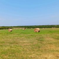 Karnes County Comanche Hay Farm S of Kenedy