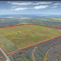 Karnes County Comanche Hay Farm S of Kenedy images 2