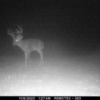 339-Acre Hunter s Paradise in Jackson County IN images 2