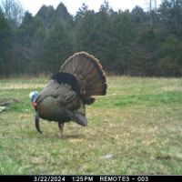 339-Acre Hunter s Paradise in Jackson County IN images 3