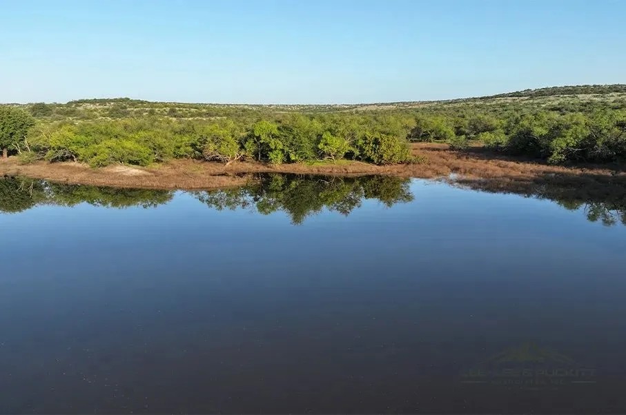 Wilson Carlsbad Ranch featured image