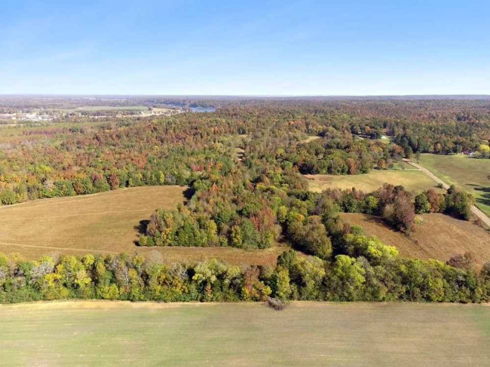 85 Acres in Hardin County TN featured image