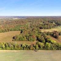 85 Acres in Hardin County TN