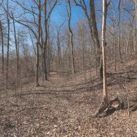 10 Acres in Meigs County TN