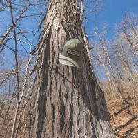 10 Acres in Meigs County TN images 2