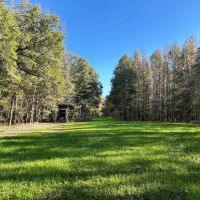 220 Acres in Issaquena County MS images 5