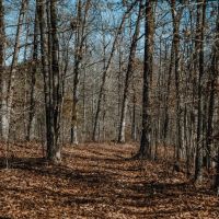 Suttons Serenity images 5