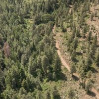 Nasty Creek II images 3