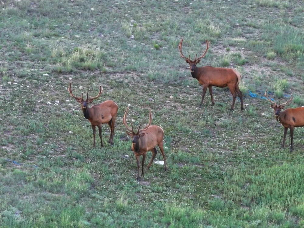 Cliffside Ranch featured image