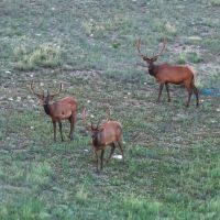 Cliffside Ranch images 1