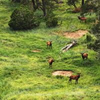 Cliffside Ranch images 2