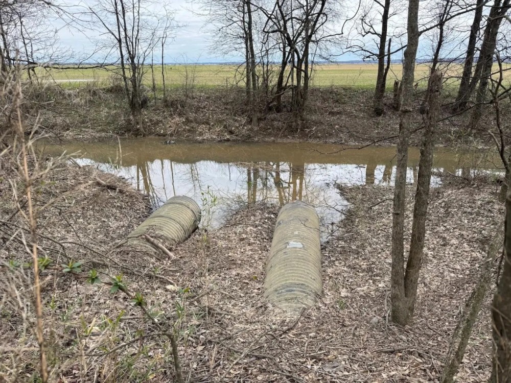 39.95 Acres in Panola County MS featured image